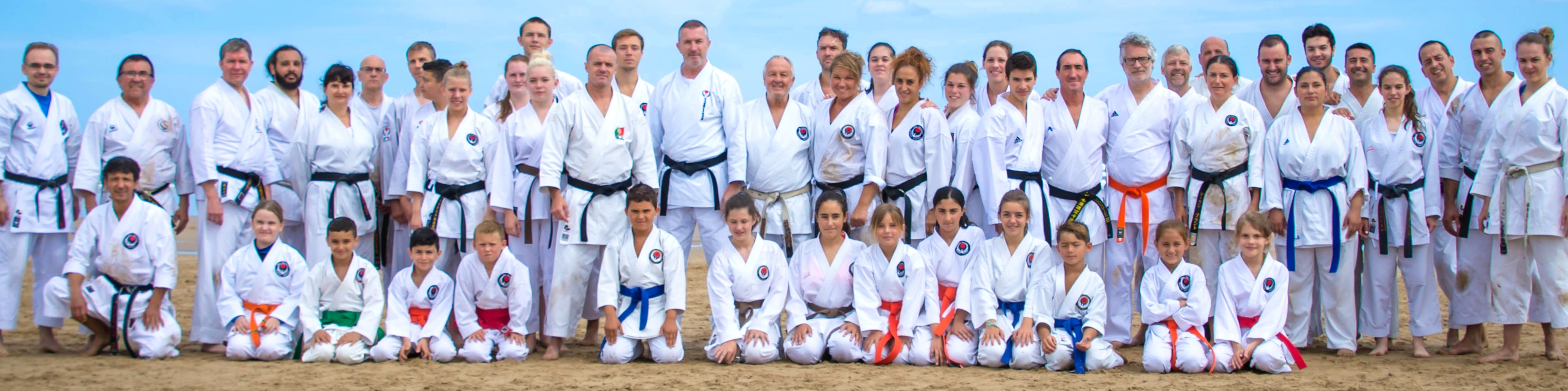 Wado International Karate-do Federation España's banner