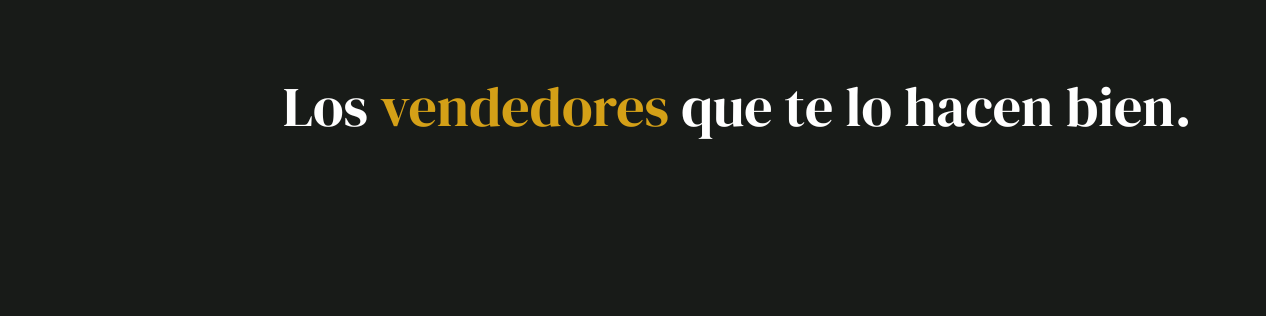 Asesoria personalizada de ventas con Putos Vendedores